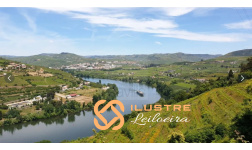 terreno_rustico_02